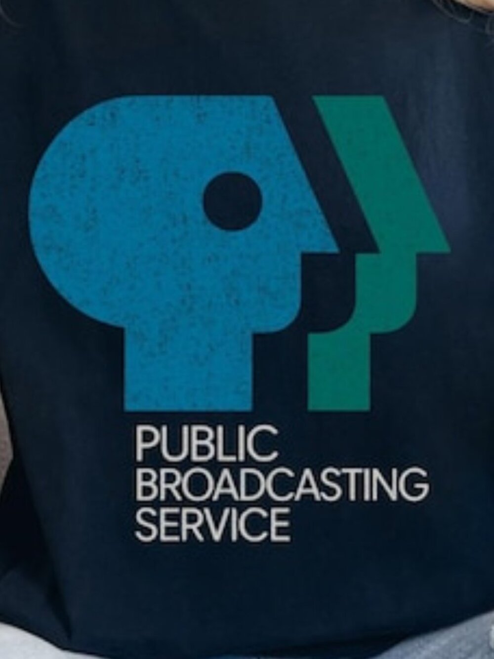Public Broadcasting Service Comfort Colors Tee, Vintage PBS Logo T-Shirt 257 - Picture 2 of 5